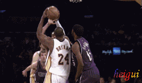 昼夜节律波 昼夜节律波